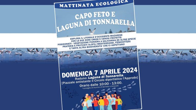 mattinata ecologica