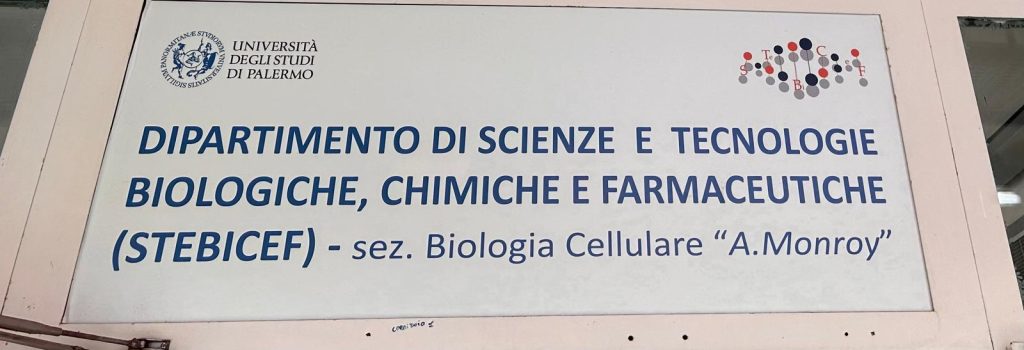 Immagine WhatsApp 2025-04-05 ore 17.44.15_c6f8e235